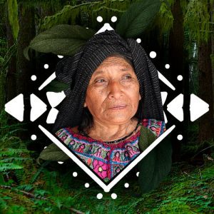 Indigena-amazonica