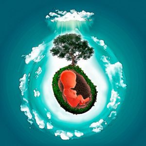 Bioetica-Nuestra-Tierrita