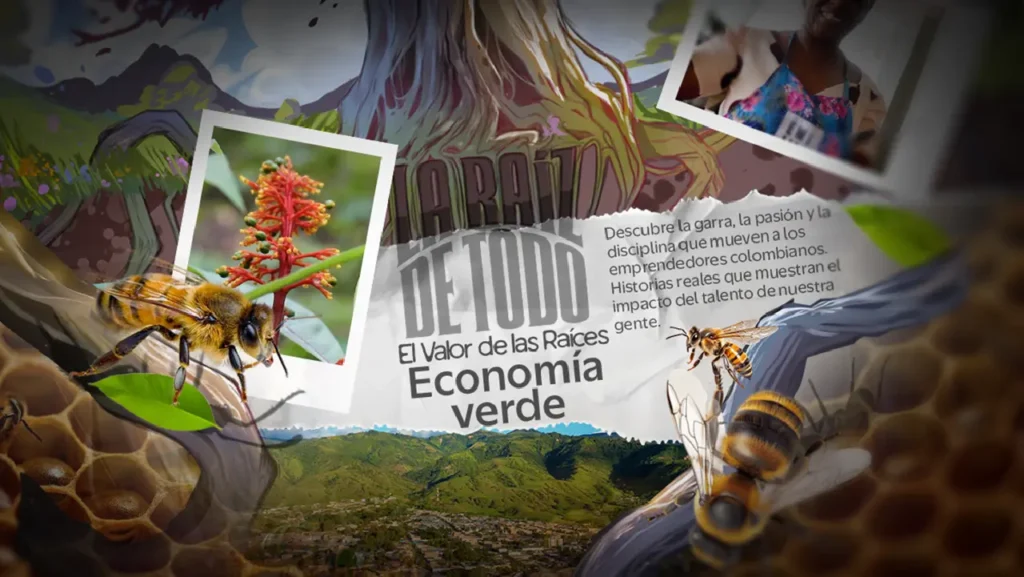 El valor de las raíces