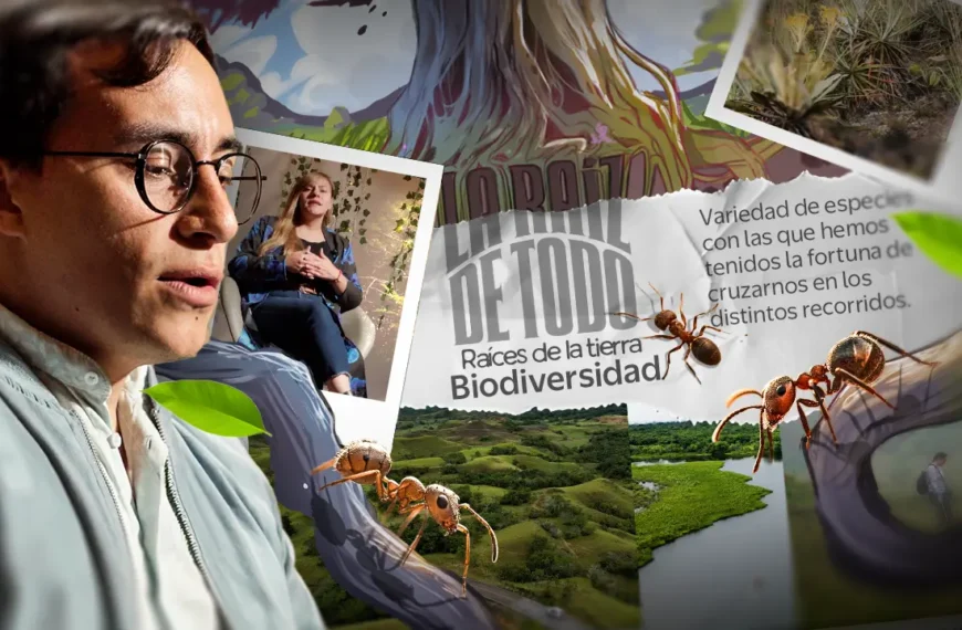 Raíces de La Tierra
