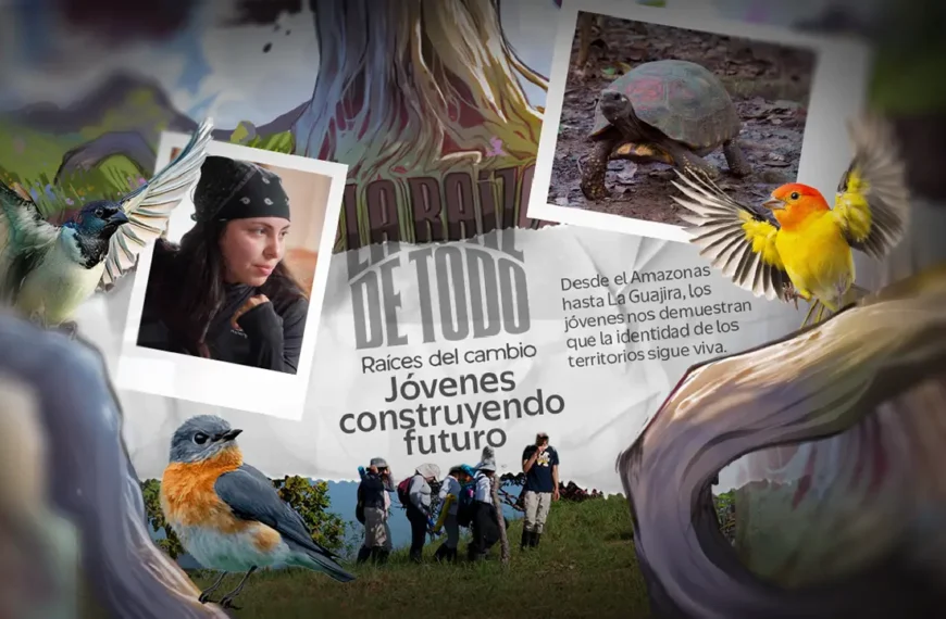 Raíces del Cambio
