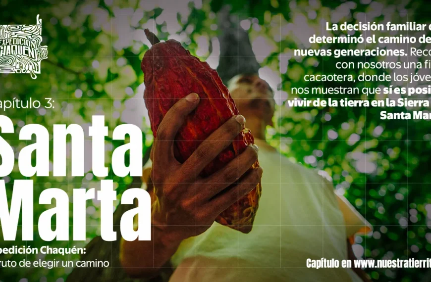 Al ritmo del Cacao