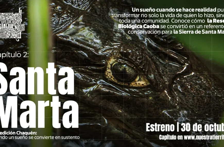 Caoba: un proyecto de vida
