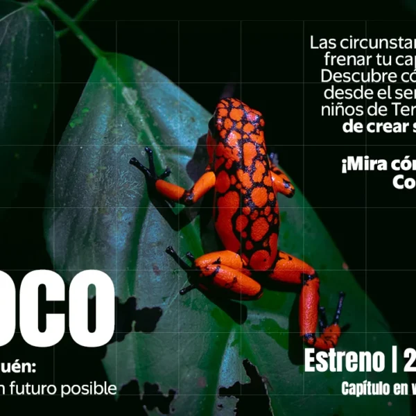 Sembrar un sueño