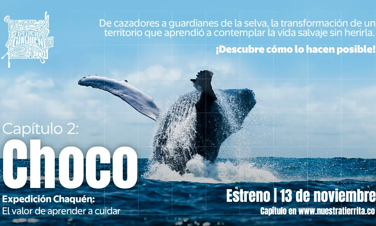 Soñar es el viaje