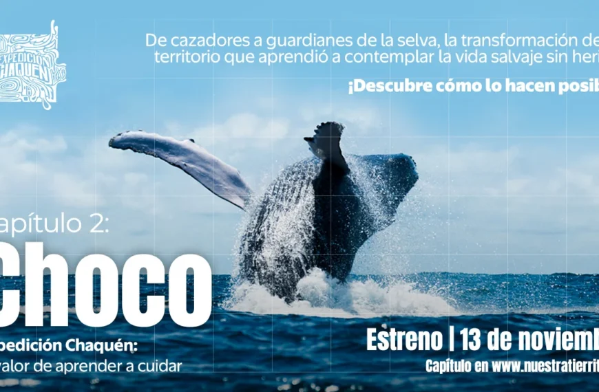 Soñar es el viaje